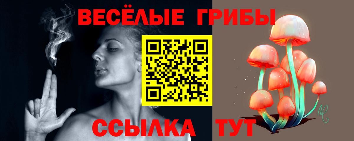Псилоцибиновые грибы Magic Shrooms Великие Луки